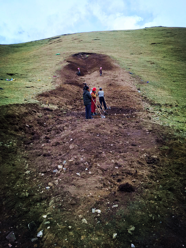 興海銅鑫綠色礦山植被恢復(fù)工作穩(wěn)步推進(jìn)