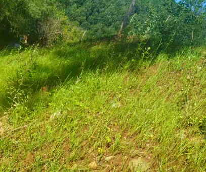 柳關(guān)欒盧鉛鋅礦|治理排土“瘡疤”，繪就綠色畫(huà)卷